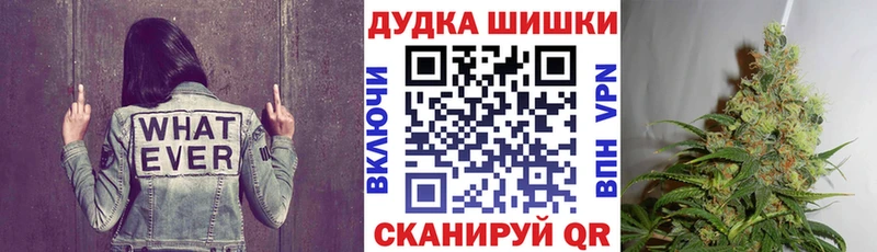 где найти   Бежецк  Шишки марихуана план 